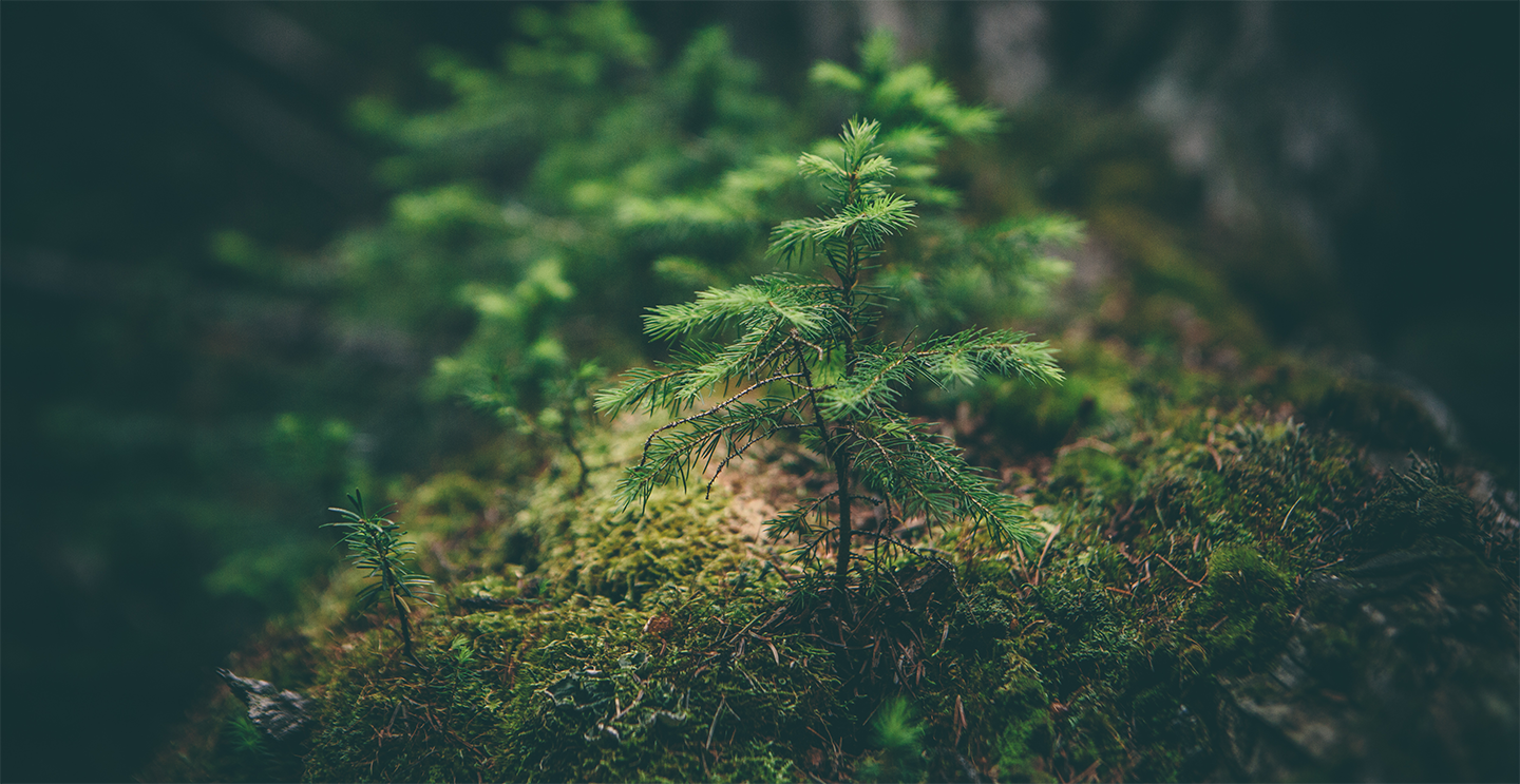 Unsplashed background img 3